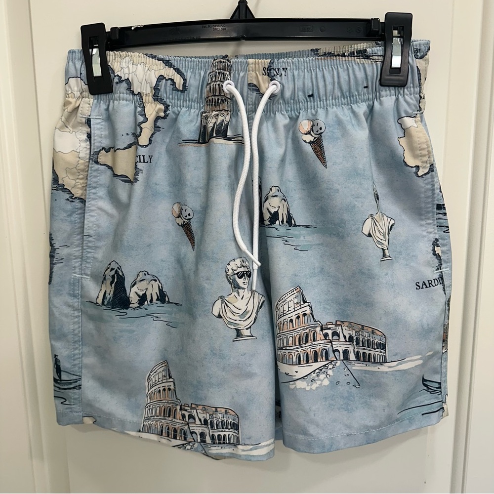 Hollister Blue Architectural Print Swim Trunks
